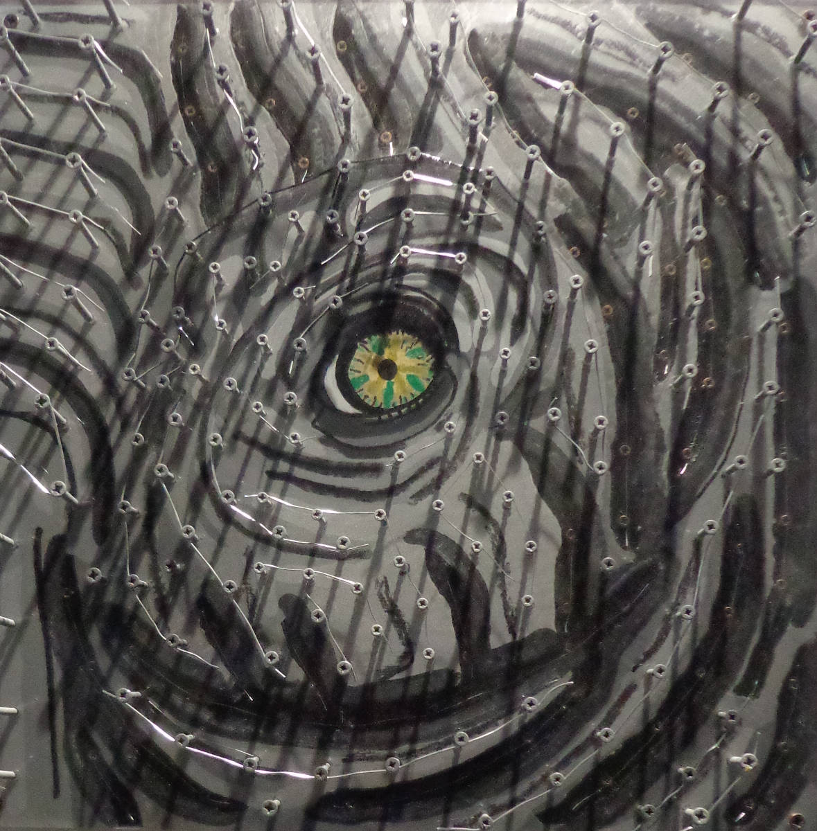 Occhio Elefante