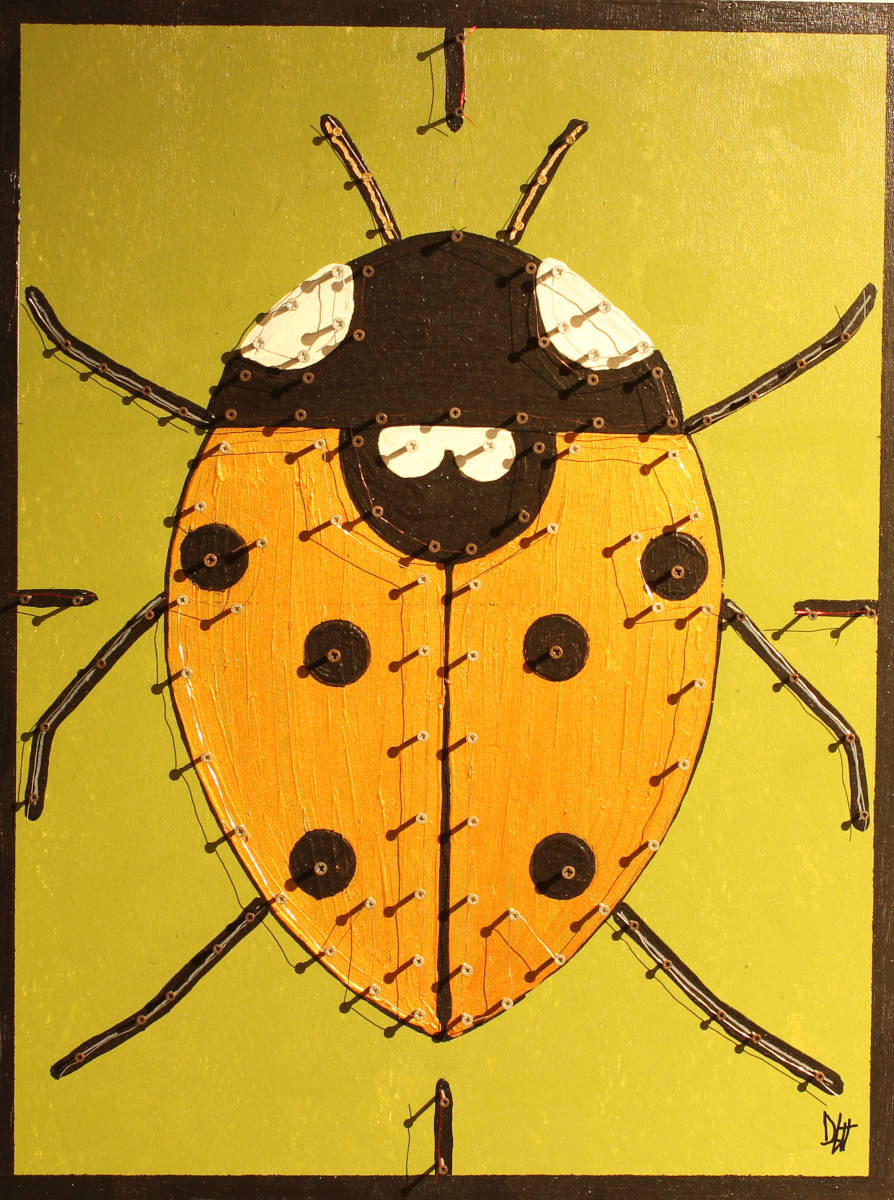 Coccinella