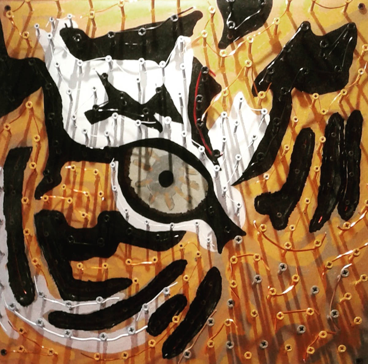 Occhio Tigre