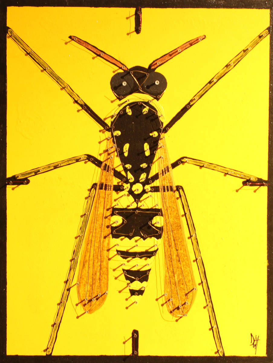 Vespa Eterocromatica