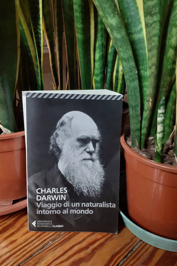 Letture