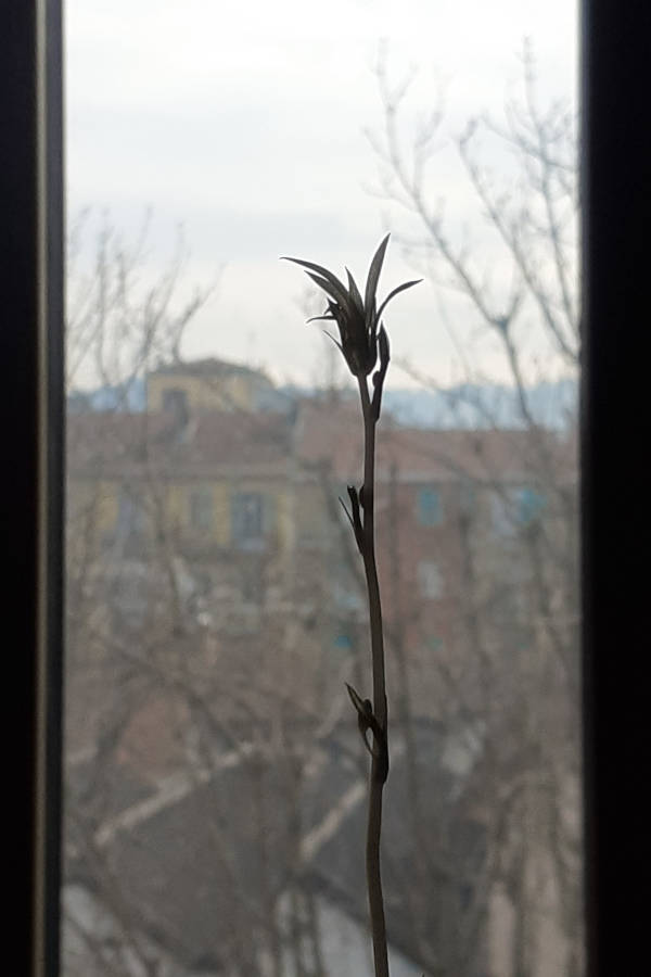 Dentro/fuori