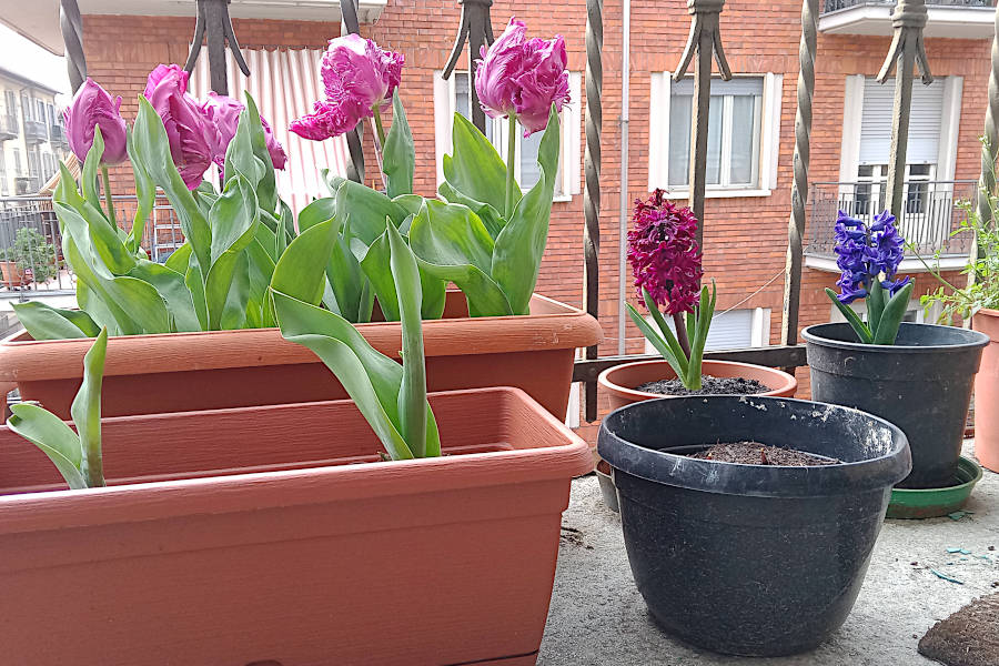 Springtime 2024